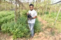 Farmer’s Success Story: કાળા ગાજર-ટામેટા સહિતની ખેતીથી મહિને લાખ રૂપિયા કમાય છે આ પાટીદાર ખેડૂત