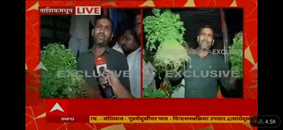 साहेब आम्ही मरायचं का? शेतकऱ्यांने कोथिंबीर फुकट वाटली, नाशिककरांची झुंबड साहेब आम्ही मरायचं का? शेतकऱ्यांने कोथिंबीर फुकट वाटली, नाशिककरांची झुंबड