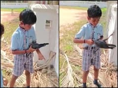 जाल में बुरी तरह फंस गया कौवा, स्कूली बच्चे ने ऐसे बचाई जान, दिल जीत रहा Video 
