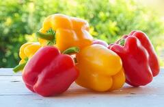 Benefits Of Capsicum: એનિમિયાથી લઈને વજન ઘટાડવા સુધી, જાણો કેપ્સિકમના અગણિત ફાયદા