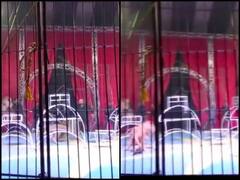 गुस्से में सर्कस का शेर ट्रेनर की बांह दबोच लेता है...रोंगटे खड़ा कर देने वाला Video वायरल