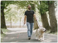 'अंधे के हाथ बटेर लगना'... बटेर क्या है और इसमें क्या खास होता है?