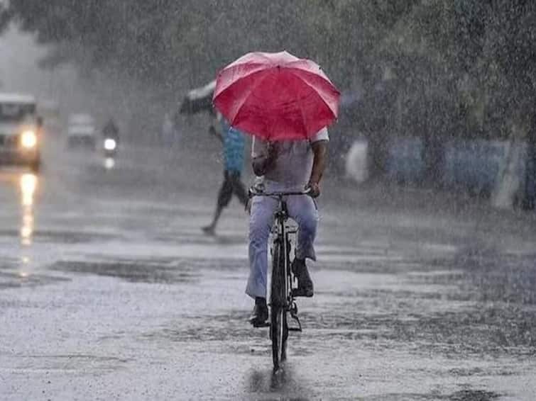 Maharashtra Weather Grape Farmers worried about the possibility of rain and hail in the state from today     Maharashtra Weather : आजपासून राज्यात पावसासह गारपीट होण्याची शक्यता, द्राक्ष उत्पादक चिंतेत