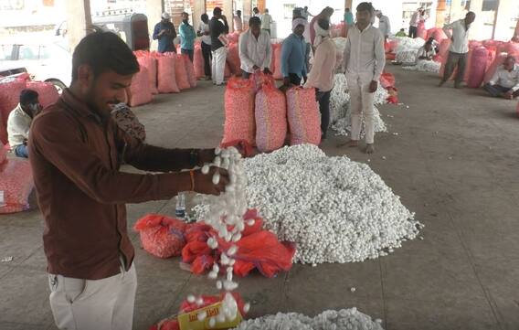 Silk : जालन्यात रेशीम बाजारात तब्बल 38 कोटी रुपयांची उलाढाल