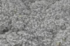 Silk : जालना मार्केटमध्ये रेशीमची आवक वाढली