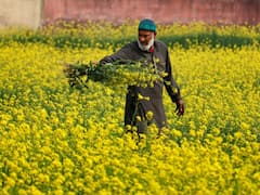 यूपी में किसानों के लिए बुरी खबर! हो सकता है बड़ा नुकसान, जानिए क्या है वजह?