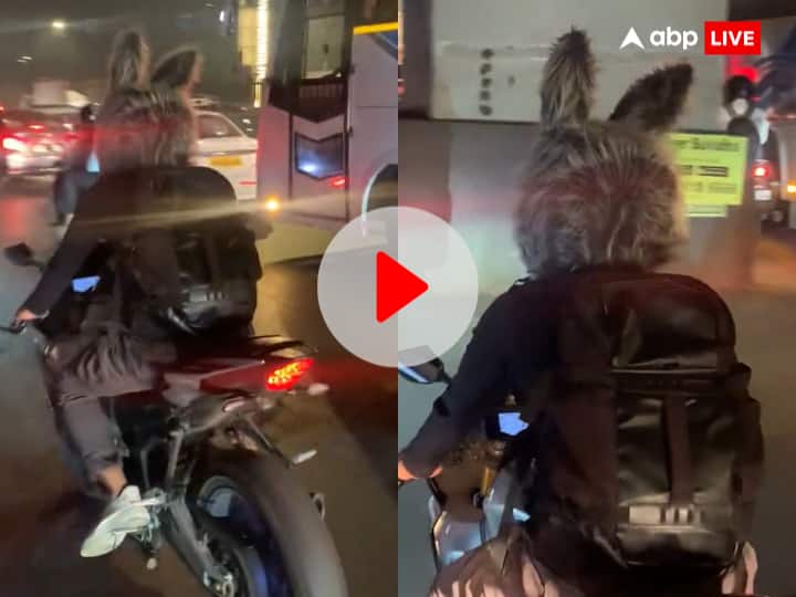 Mumbai motorist bunny rabbit helmet viral video Western Express Highway Goregaon Watch: मुंबई की सड़कों पर खरगोश के डिजाइन वाला हेलमेट पहन जाता दिखा शख्स, वीडियो देख लोगों की छूटी हंसी