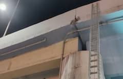 Rajkot: રાજકોટમાં રૈયા ઓવરબ્રિજ પર તિરાડો પડતા બ્રિજ બંધ કરાયો, જાણો મનપા કમિશનરે  શું કહ્યું ?