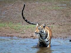 In Pics: केवल राजनीति में ही नहीं, फोटोग्राफी में भी है दिग्विजय सिंह की पकड़, सोशल मीडिया पर शेयर कीं तस्वीरें