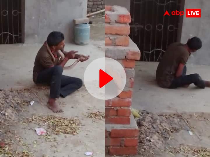 Bihar Viral Video: Man in Nawada of Bihar Playing and Kissing King Cobra Dies By Snake Bite ann Bihar Viral Video: नशे में सांप को किस कर रहा था शख्स, कोबरा संग खेलने का जो अंजाम हुआ, देखकर सहम जाएंगे
