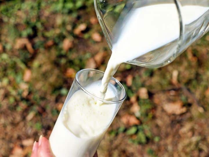 Raw Milk vs Boiled Milk Know Why Drinking Raw Milk Not Safe For Health Raw Milk: 'कच्चा दूध' पीने से शरीर में लग सकती हैं कई जानलेवा बीमारियां, जानें इसके 4 डराने वाले नुकसान