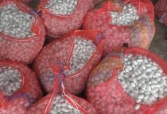 Silk : जालना मार्केटमध्ये रेशीमची आवक वाढली