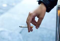 कोलेस्टेरॉलची पातळी नियंत्रित कशी ठेवाल? 'हे' आहेत नैसर्गिक मार्ग!