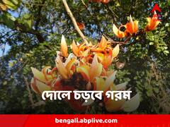 স্বাভাবিকের থেকে তাপমাত্রা বেশ বেশি, হোলিতে কত গরম পড়বে জানাল আবহাওয়া দফতর