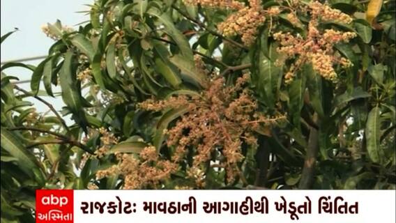 Rajkot: માવઠાની આગાહી વચ્ચે રવિ પાકને નુકશાનની ભીતિ
