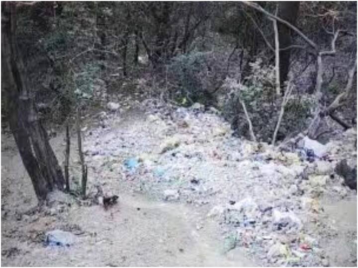 Shimla News Forest Department Cut Challan Of 22000 Rupees On Illegal Dumping Mafia In Shimla Ann Shimla News: शिमला में अवैध डंपिंग कर रहे माफिया पर सख्ती, वन विभाग ने काटा 22 हजार रुपये का चालान
