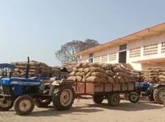 बाराबंकी में आलू की हुई बंपर पैदावार, फिर भी किसानों पर मंडरा रहा है बड़ा संकट, जाने- वजह?