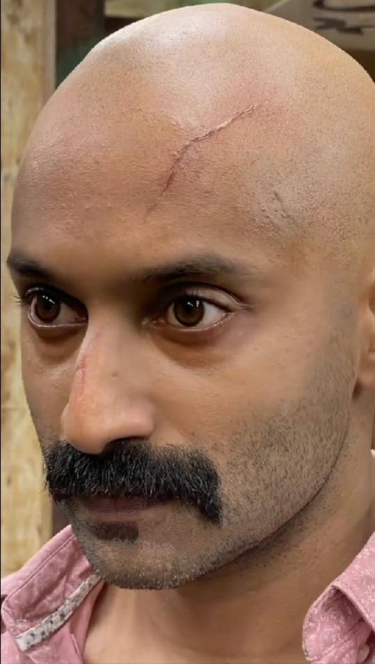 மலையாள சினிமாவில் நடித்து வந்த இவர், பிற மொழி படங்களில் நடித்து பிரபலமானார்