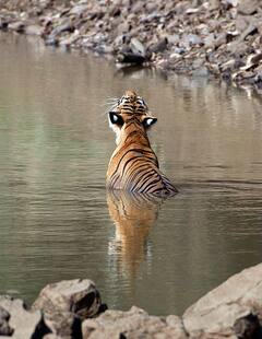 In Pics: केवल राजनीति में ही नहीं, फोटोग्राफी में भी है दिग्विजय सिंह की पकड़, सोशल मीडिया पर शेयर कीं तस्वीरें
