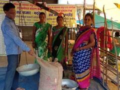 छत्तीसगढ़: महुआ खरीदी में करोड़ों की धांधली! वन विभाग के कर्मचारियों पर लगाए गए आरोप, ऐसे हुआ मामला उजागर