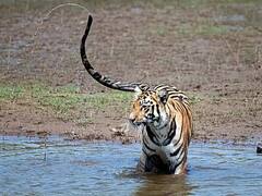 In Pics: માત્ર રાજનીતિમાં જ નહીં, ફોટોગ્રાફીમાં પણ છે દિગ્વિજય સિંહની પકડ, સોશિયલ મીડિયા પર શેર કરી તસવીરો