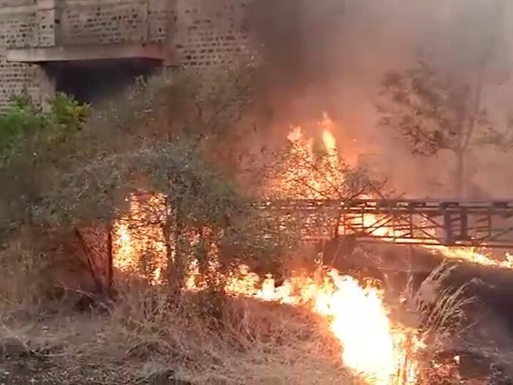 सांगलीतील कवठेमहाकाळ येथील महाकाली साखर कारखान्यात भीषण आग लागली होती.