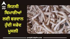 Safed Musli Benefits: ਜਿਣਸੀ ਬਿਮਾਰੀਆਂ ਲਈ ਵਰਦਾਨ ਹੁੰਦੀ ਸਫੇਦ ਮੂਸਲੀ, ਮਰਦਾਂ ਨੂੰ ਇੰਝ ਕਰਨਾ ਚਾਹੀਦਾ ਸੇਵਨ