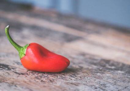 नांदेडच्या (Nanded) तिखट लाल मिरचीला (chīlli) पर राज्यातून मोठी मागणी आहे. अशातच यावर्षी मिरचीच्या उत्पादनात देखील वाढ झाली आहे.