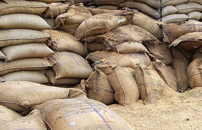 Gandhinagar: Important decision to prevent theft of  government food grains, formation of  SIT ગાંધીનગર: સરકારી અનાજની ચોરી કે ગેરરીતિ અટકાવવા માટે  મહત્વ પૂર્ણ નિર્ણય, કરાણી SITની રચના