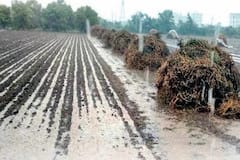 Gujarat Rain: કમોસમી વરસાદની આગાહી મુજબ રાજ્યના આ જિલ્લામાં પડ્યો ગાજવીજ સાથે વરસાદ