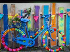 Cycling: உடலையும், மனசையும் வலுப்படுத்தனுமா..? இனிமே சைக்கிளிங் பண்ணுங்க.. எவ்ளோ பலன் இருக்கு தெரியுமா..?