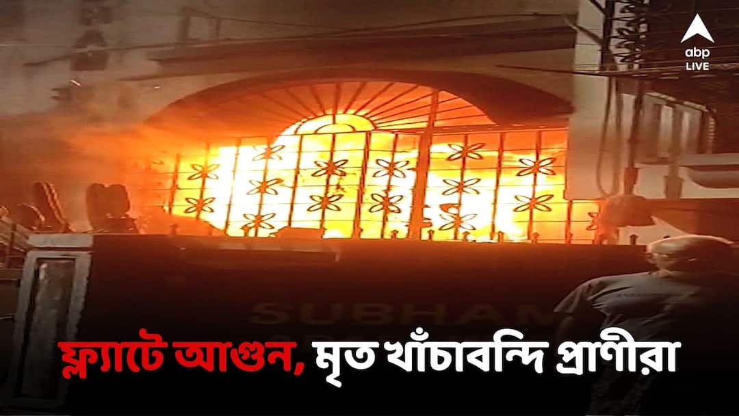 Fire in the residence of Naktala, death of caged dogs and cats due to burns Naktala Fire: নাকতলার আবাসনে আগুন, ঝলসে মৃত্যু খাঁচাবন্দি কুকুর-বিড়ালের