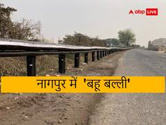 भारत ने बनाया रिकॉर्ड! नागपुर नेशनल हाईवे पर लगाया गया विश्व का पहला बांस का 'क्रैश बैरियर'