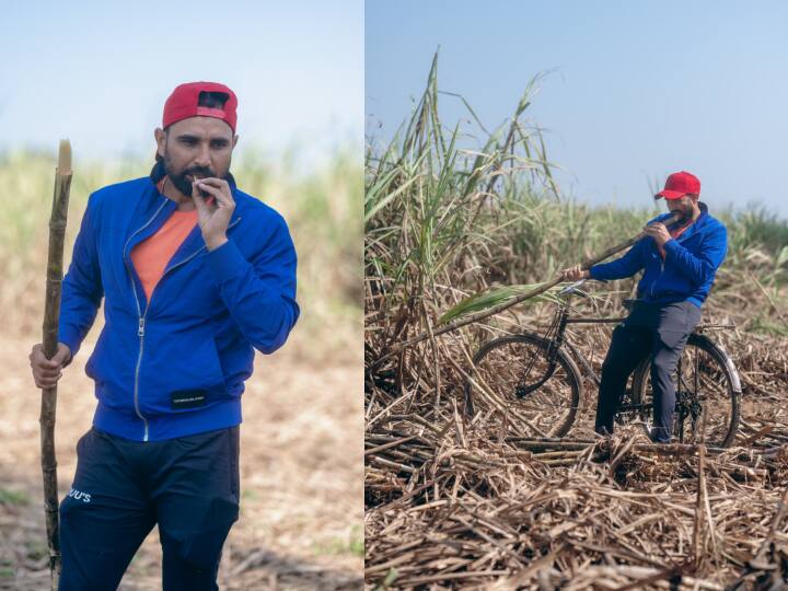 IND vs AUS: अहमदाबाद टेस्ट से पहले खेतों में गन्ने का मजा लेते नजर आए मोहम्मद शमी, फोटो वायरल
