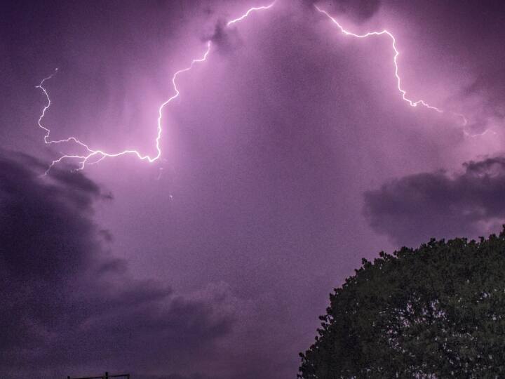 A 25-year-old youth died due to lightning in Surendranagar Gujarat Weather Update: સુરેન્દ્રનગરમાં વીજળી પડી 25 વર્ષના યુવક અને 80 બકરાના મોત