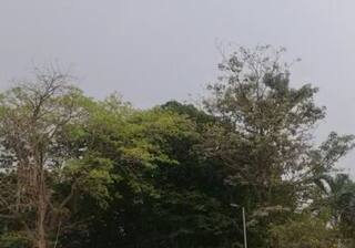 Gujarat Weather Update: સુરત, સૌરાષ્ટ્રમાં માવઠું, કેરી, ચીકુના ખેડૂતો ચિંતામાં મુકાયા