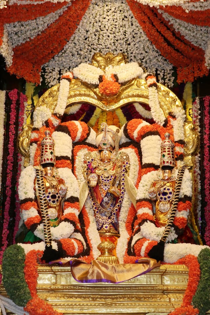 విద్యుద్దీపాలతో సర్వాంగ సుందరంగా అలంకరించిన తెప్పపై రాత్రి 7 గంటల నుండి 8 గంటల వరకు శ్రీదేవి, భూదేవి సమేత శ్రీ మలయప్పస్వామివారు ఆశీనులై పుష్కరిణిలో ఐదు చుట్లు విహరించి భక్తులను అనుగ్రహించారు.