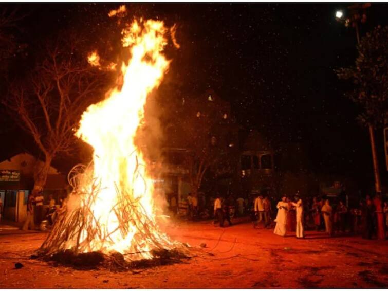 special blog on holi festival BLOG : तेव्हा 'त्या' जीवाचं काळीज जळत असतं!