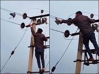 बिजली के तारों में फंसा कबूतर तो शख्स ने जान पर खेलकर बचाई मासूम की जान...Video देख सलाम करेंगे