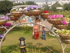 इस दिन से शुरू होगा G20 फ्लावर फेस्टिवल, एंट्री के लिए आपको करना पड़ेगा ये काम