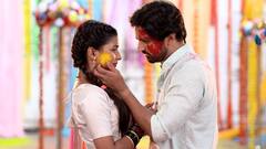 आला होळीचा सण लई भारी... मराठी मालिकांमध्ये पाहायला मिळणार होळी आणि धुलिवंदनाची धमाल; कलाकारांनी केली रंगांची उधळण