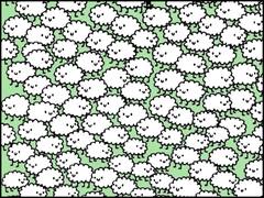 Optical Illusion: भेड़ों के बीच छिपे हैं 3 बादल, तेज नजर है तो 10 सेकंड में ढूंढ कर बताइए