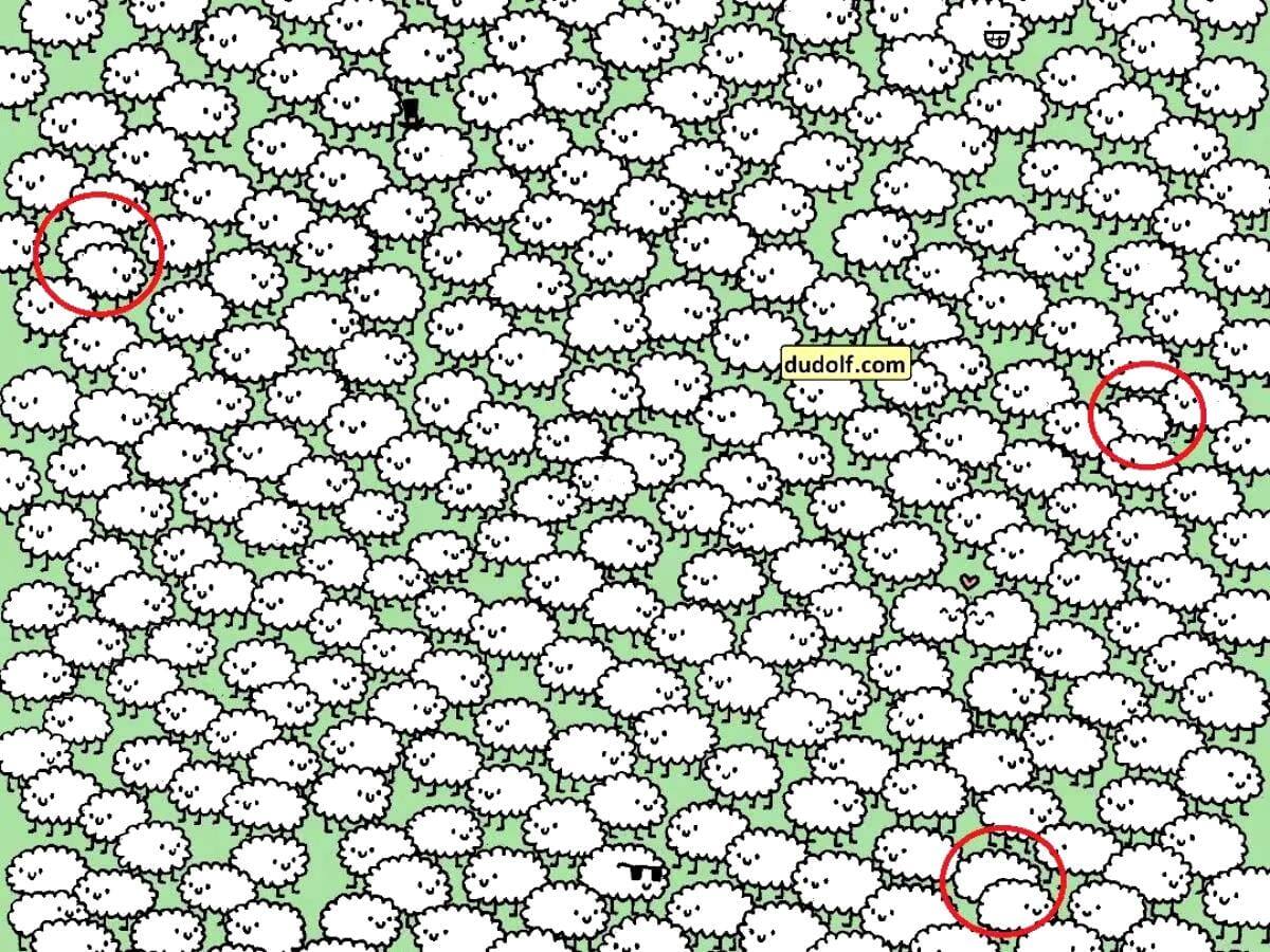 Optical Illusion: भेड़ों के बीच छिपे हैं 3 बादल, तेज नजर है तो 10 सेकंड में ढूंढ कर बताइए