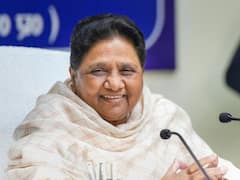 BSP चीफ मायावती को है बागवानी का भी शौक, खाना बनाने को लेकर कही थी ये बात...