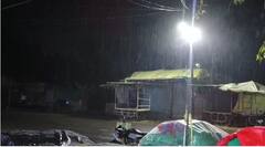 पालघर, नाशिक, बुलढाण्यात विजांच्या कडकडाटासह अवकाळी पावसाची हजेरी, पिकांना फटका