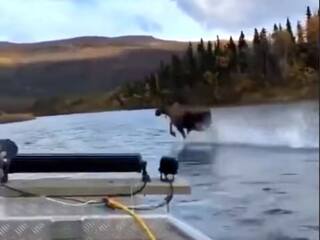 Viral Video: ... ਤੁਸੀਂ ਪਾਣੀ 'ਤੇ ਵੀ ਦੌੜ ਸਕਦੇ ਹੋ! ਆਨੰਦ ਮਹਿੰਦਰਾ ਨੇ ਸ਼ੇਅਰ ਕੀਤਾ ਵੀਡੀਓ, ਕਿਹਾ- ਭਰੋਸਾ ਹੋਣਾ ਚਾਹੀਦਾ ਹੈ