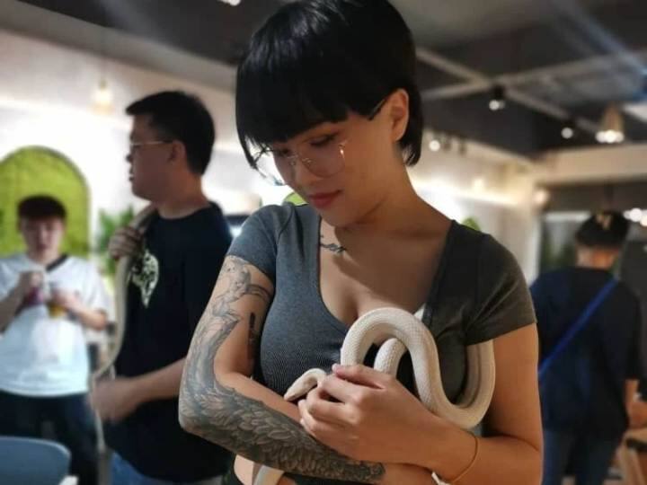 Malaysian cafes where you eat food with snake lizards watch video Malaysian Reptile Cafe Video: ऐसा कैफे जहां आपको सांप और छिपकली के साथ बैठ कर खाना होगा, वीडियो देख डर जाएंगे