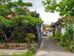 Vastu Tips:  तुमच्या घराभोवती ही झाडे असणे अशुभ, वास्तुशास्त्रानुसार जाणून घ्या