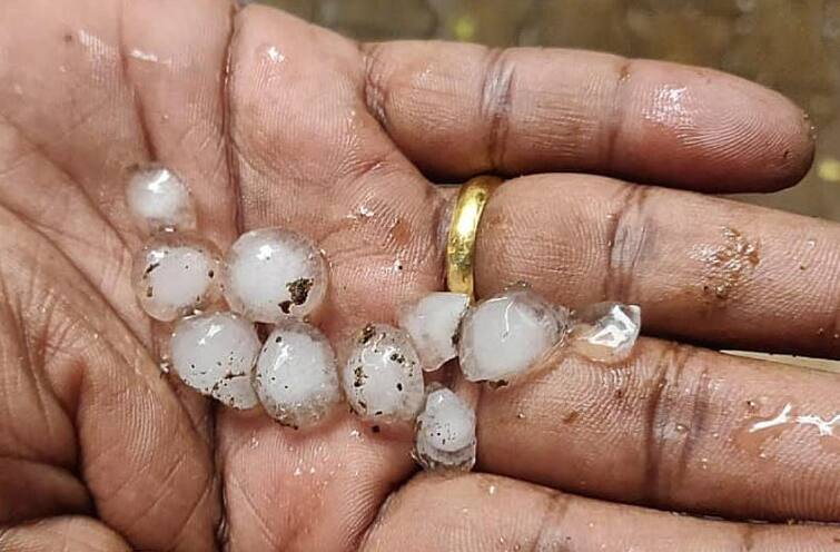 Gujarat Weather Update: Rain forecast for three days in the state, hail here including Amreli Gujarat Weather: રાજયમાં ત્રણ દિવસ વરસાદની આગાહી, અમરેલી સહિત અહીં પડશે કરા