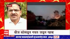 Palghar Unseasonal Rain : पालघरमध्ये अवकाळी पाऊस, वीज कोसळून गवत जळून खाक : ABP Majha